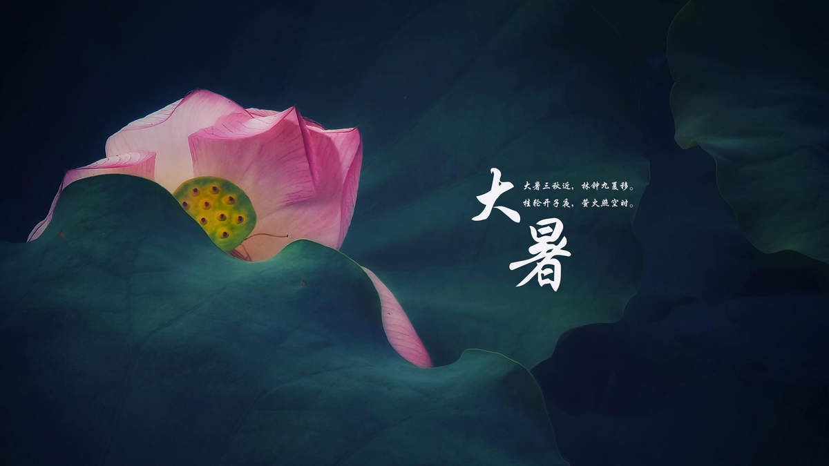 万圣节南瓜头高清电脑桌面壁纸图片
