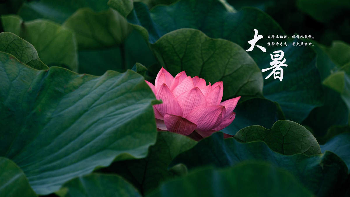 万圣节吓人南瓜灯桌面壁纸下载图片