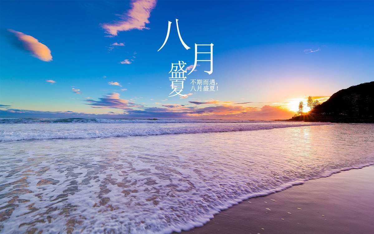 可爱软萌的小猪静物图片桌面壁纸图片