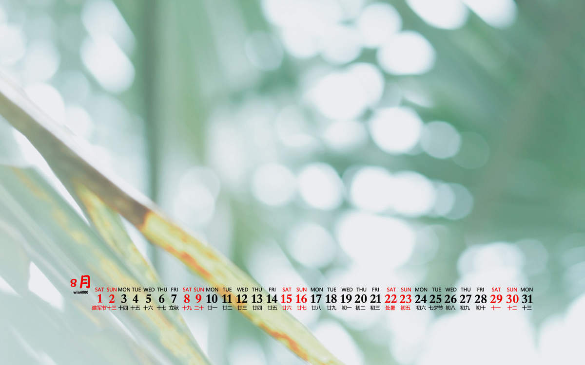 2020年9月夏季护眼绿色桌面日历壁纸图片