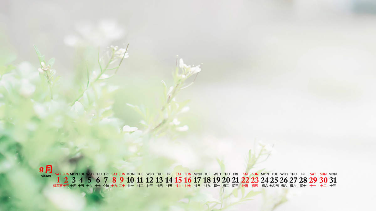 杨祐宁唯美意境写真图片图片