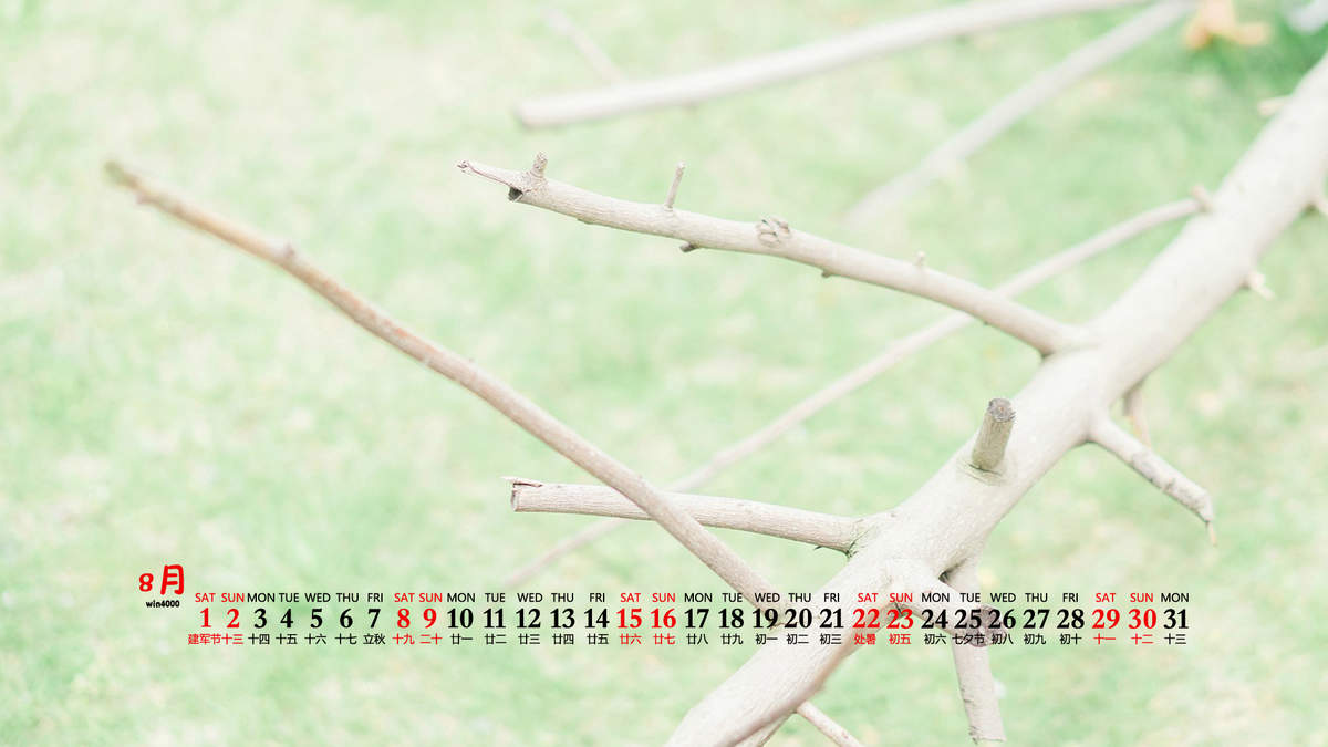 杨祐宁唯美意境写真图片图片