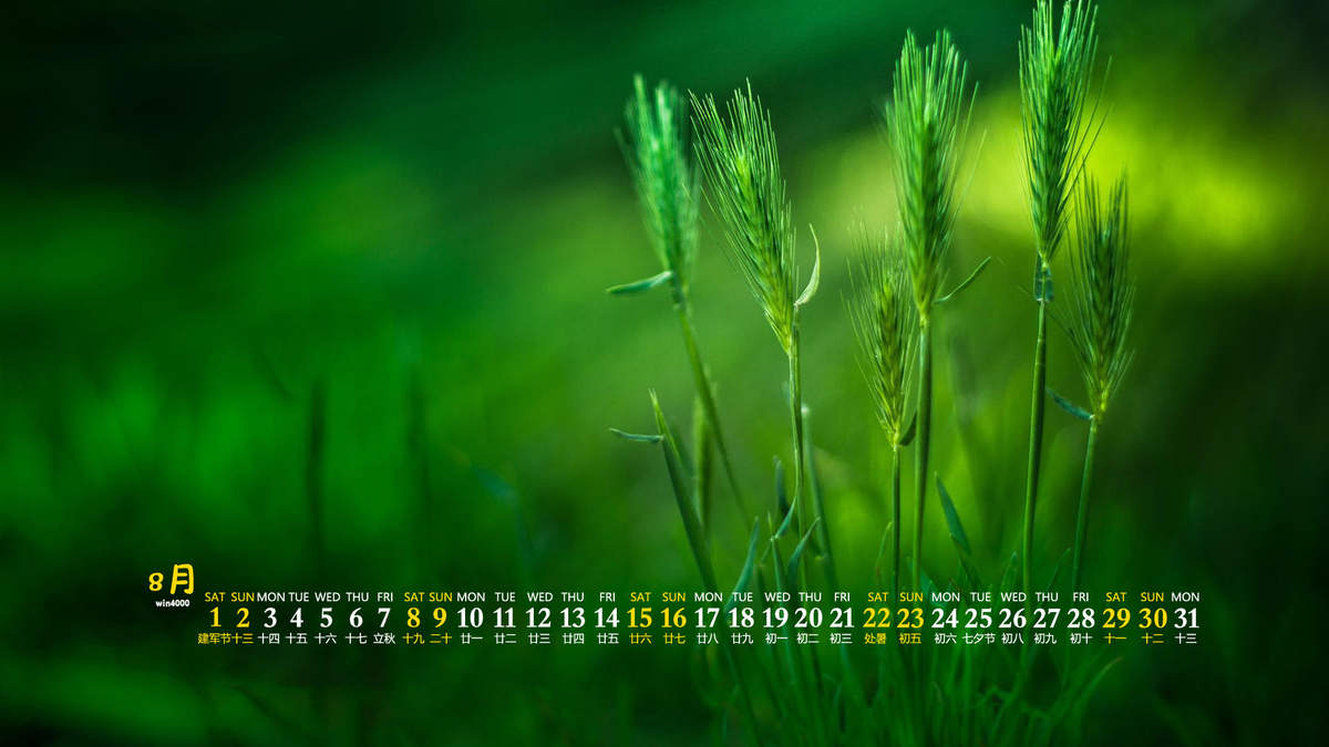 唯美清新绿色植物花卉高清摄影素材图片欣赏图片