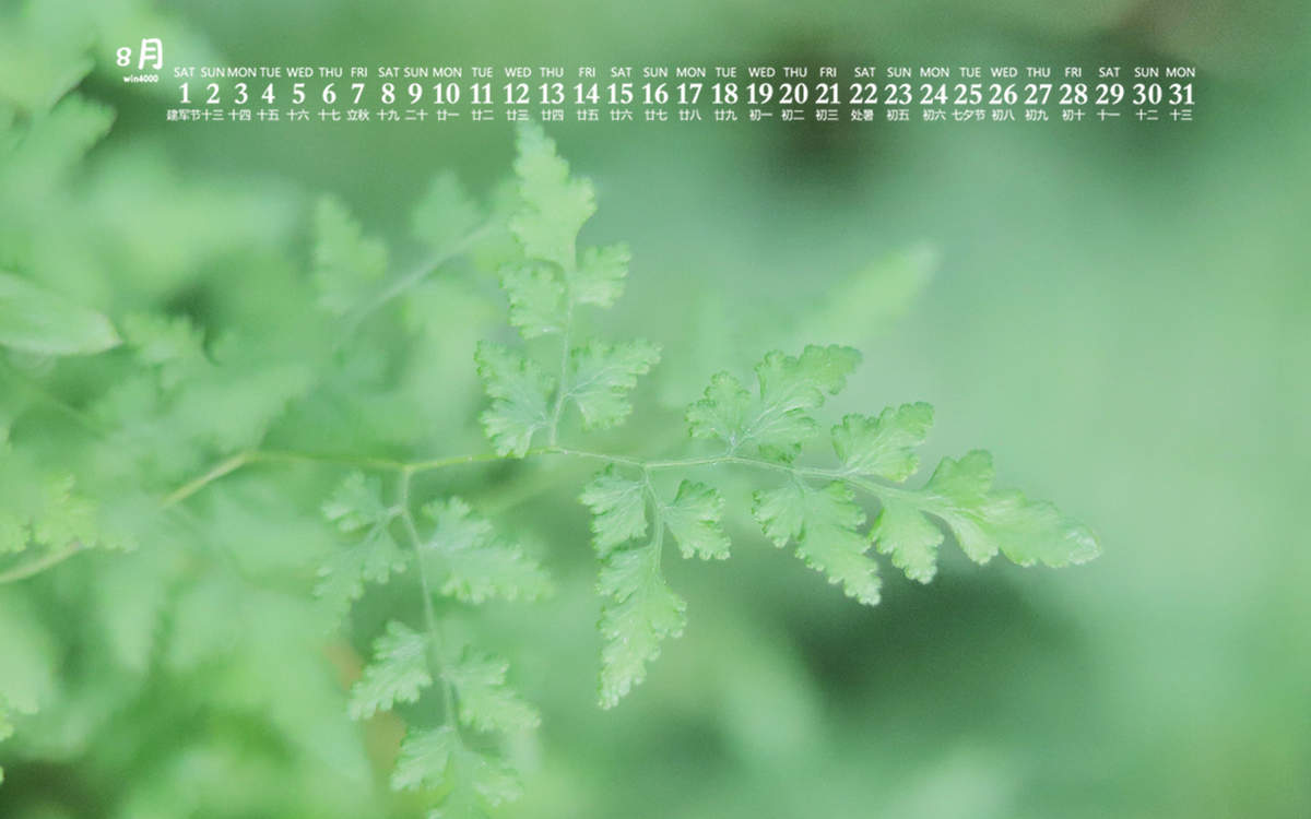 绿色植物图片