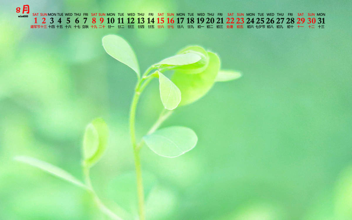 唯美清新绿色植物花卉高清摄影素材图片欣赏图片
