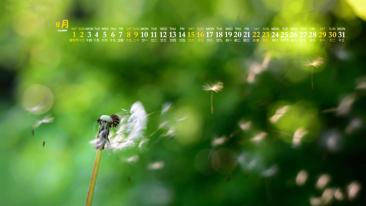 绿色植物图片