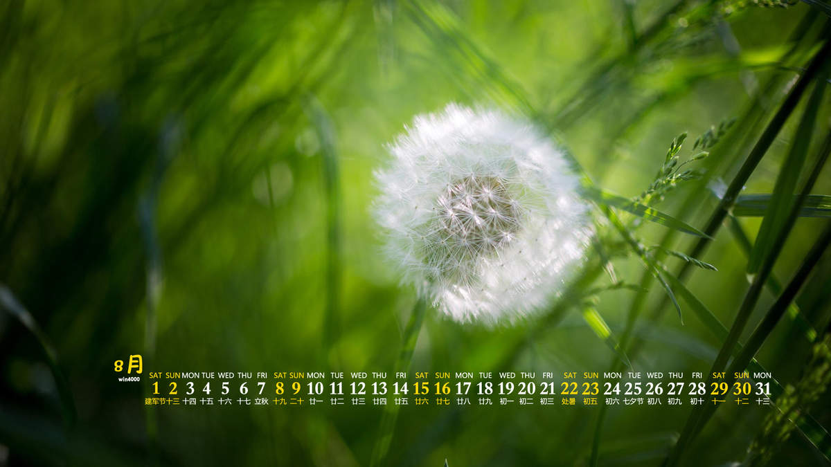 绿色植物图片