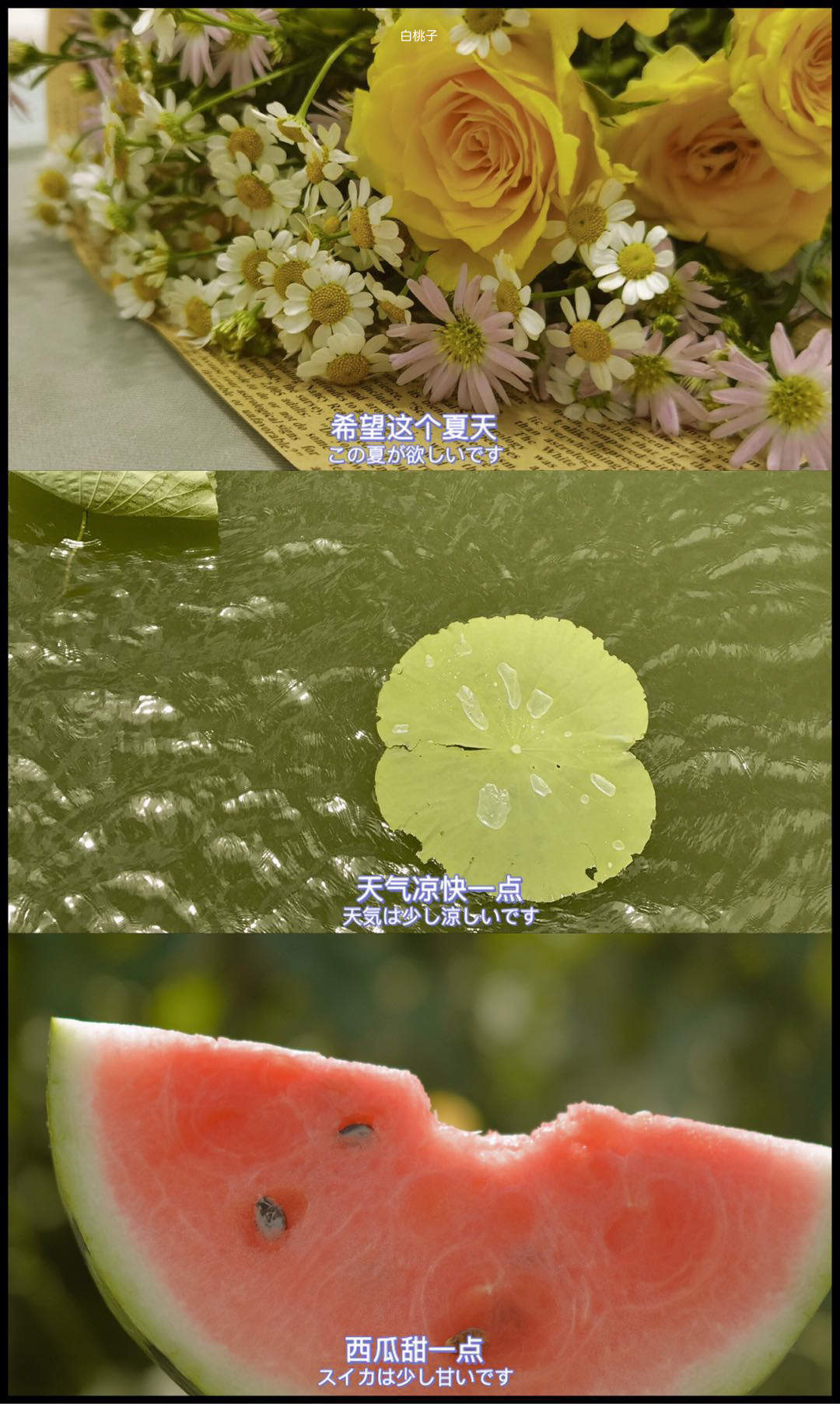 宋伊人泰国PAI显水果少女之椰子篇甜美写真图片