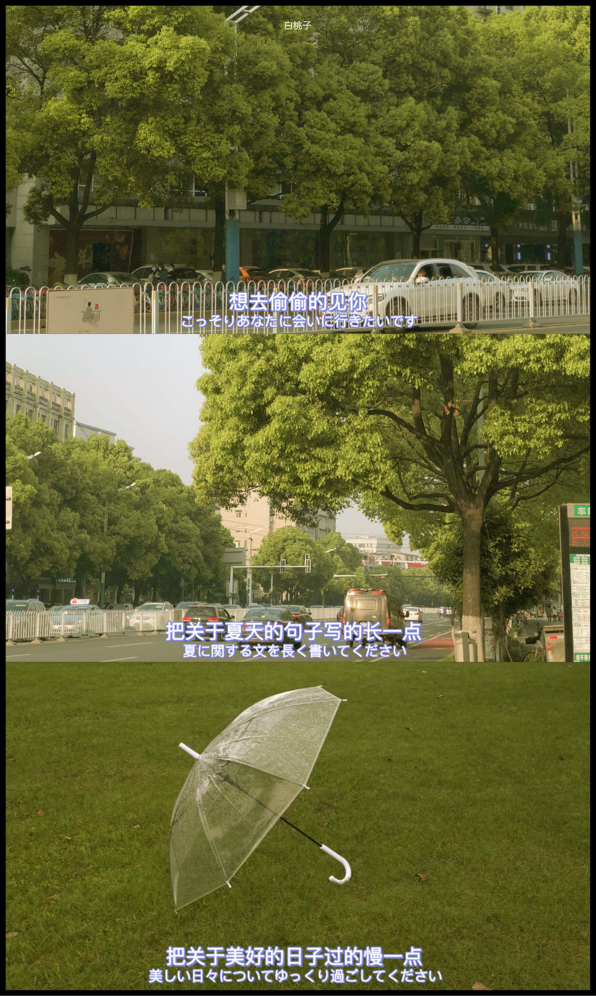 宋伊人泰国PAI显水果少女之椰子篇甜美写真图片
