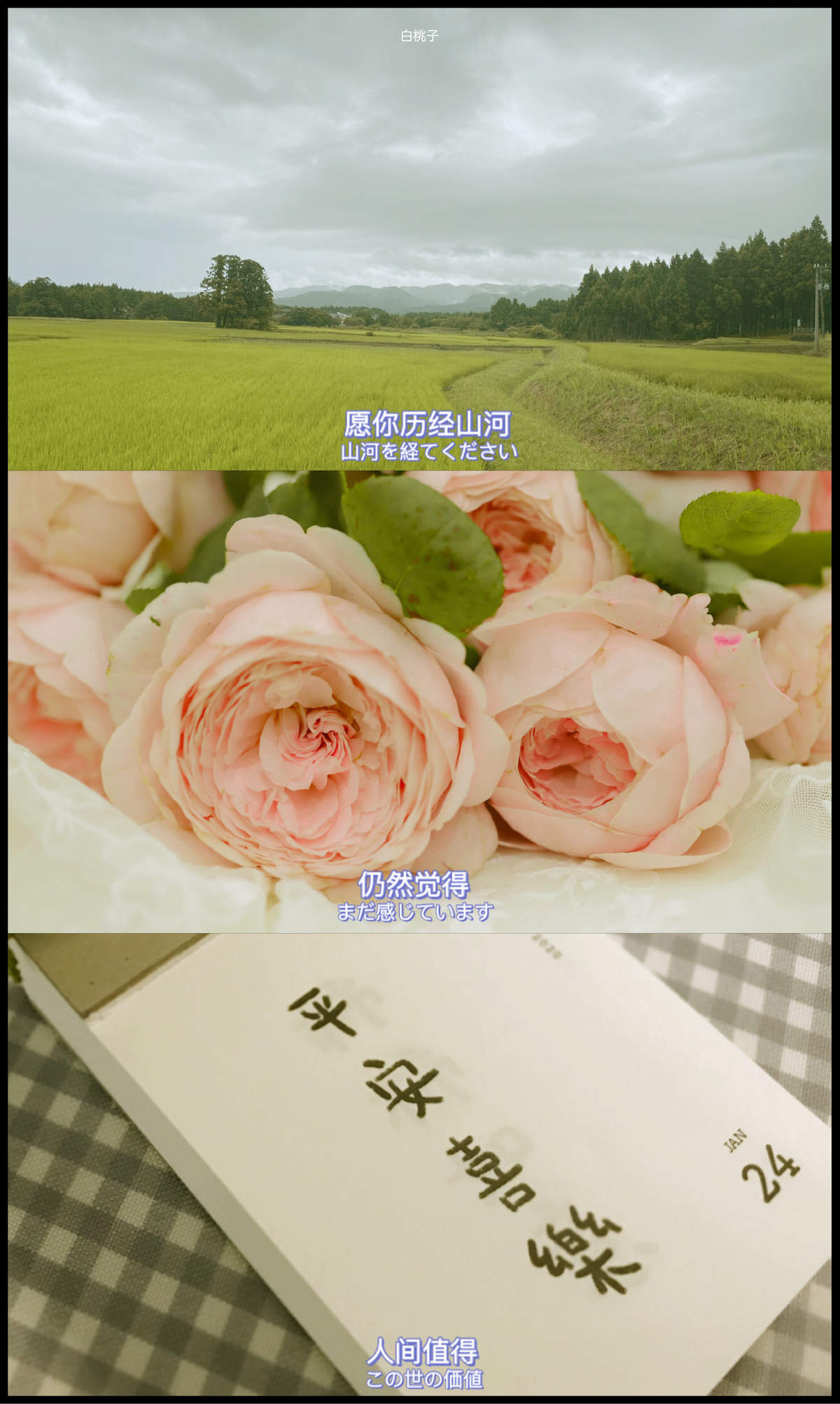 宋伊人泰国PAI显水果少女之椰子篇甜美写真图片