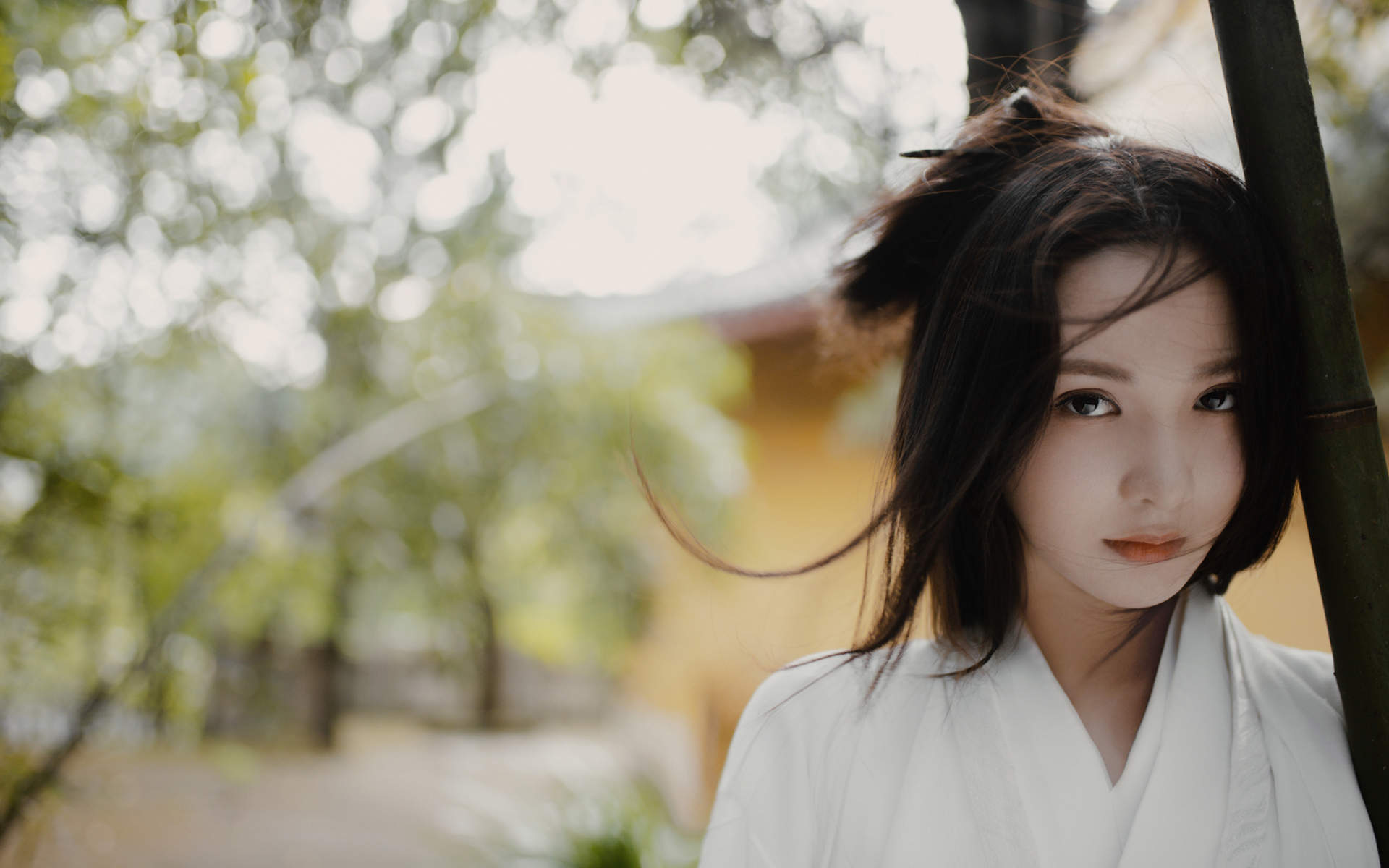 彭小苒图片