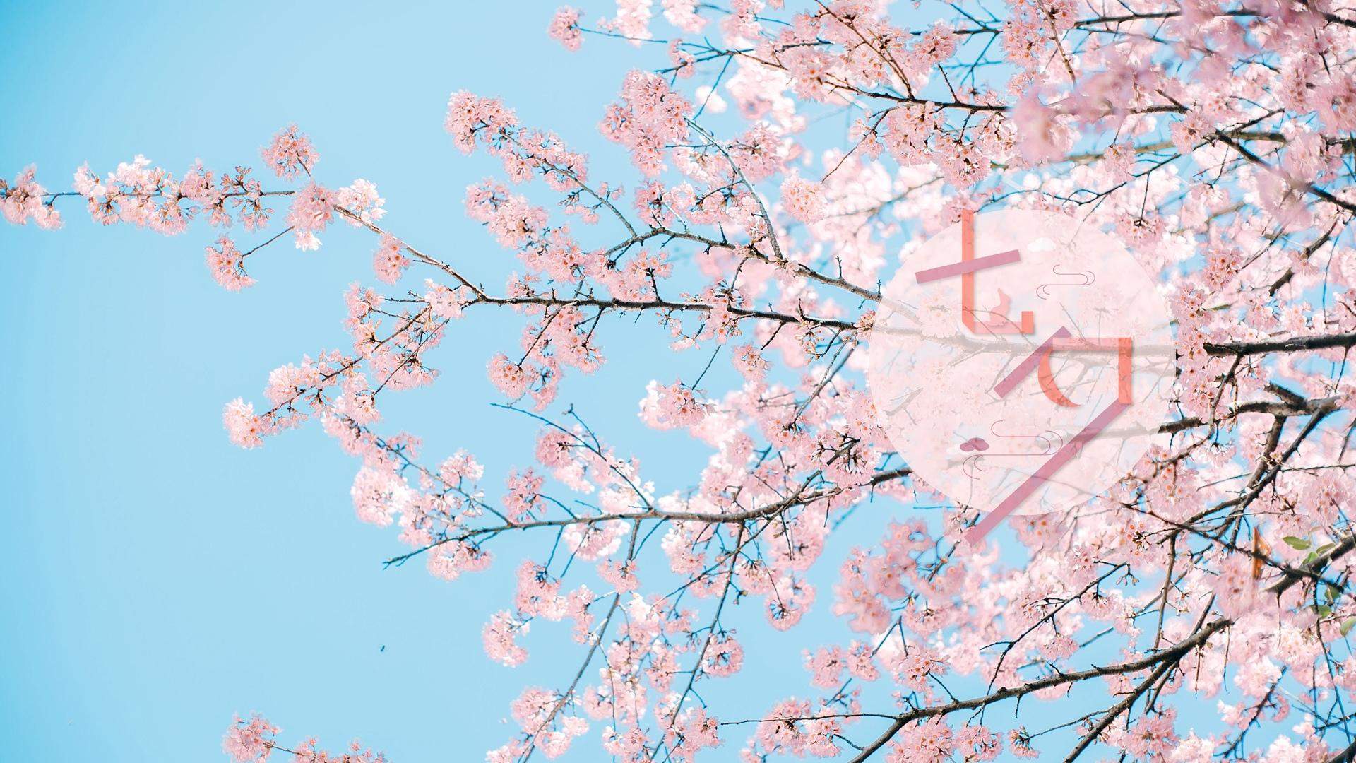 2014年8月日历七夕礼物玫瑰花桌面壁纸图片下载（二）图片