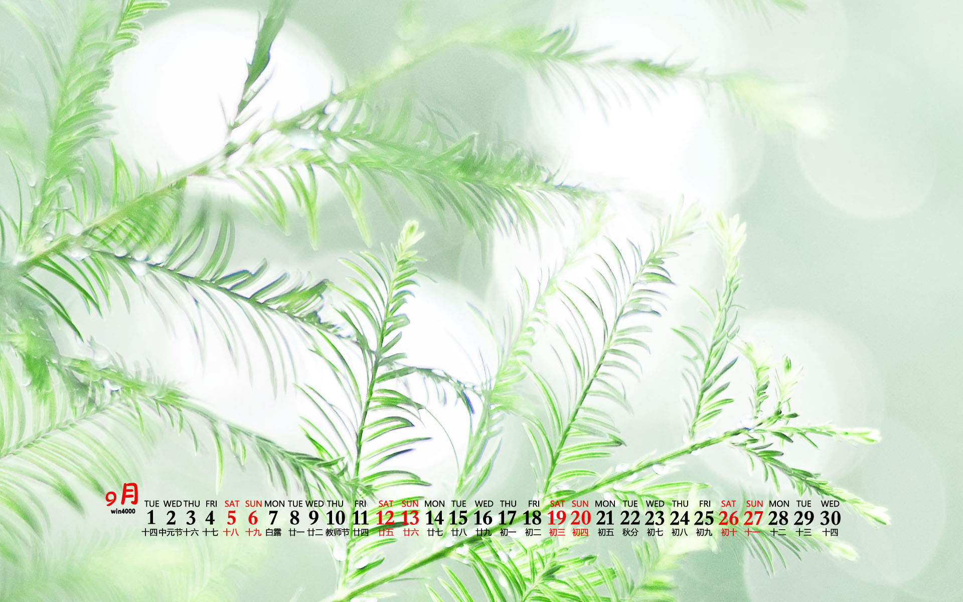 唯美清新护眼风景图片图片