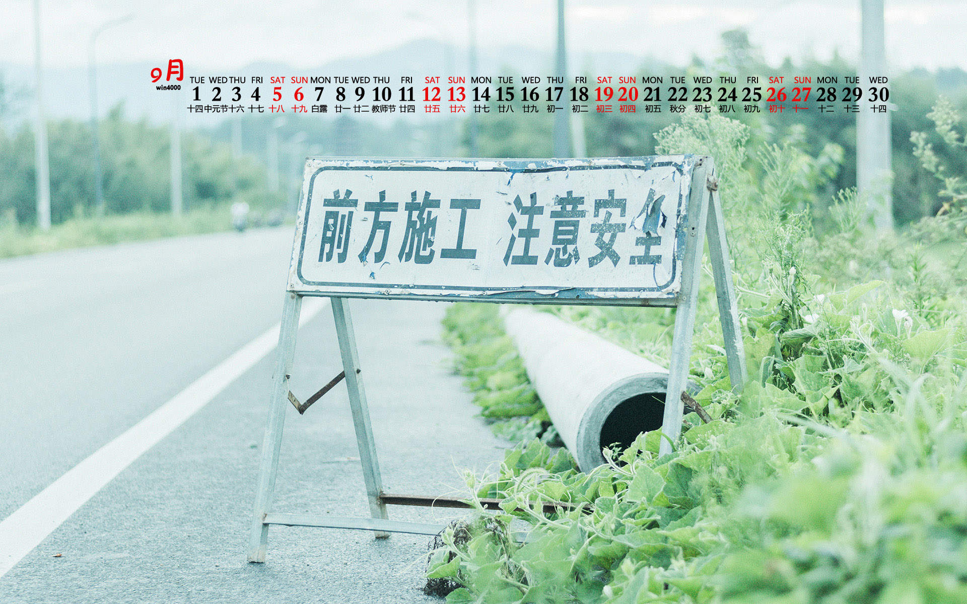 绿色护眼风景摄影高清图片图片