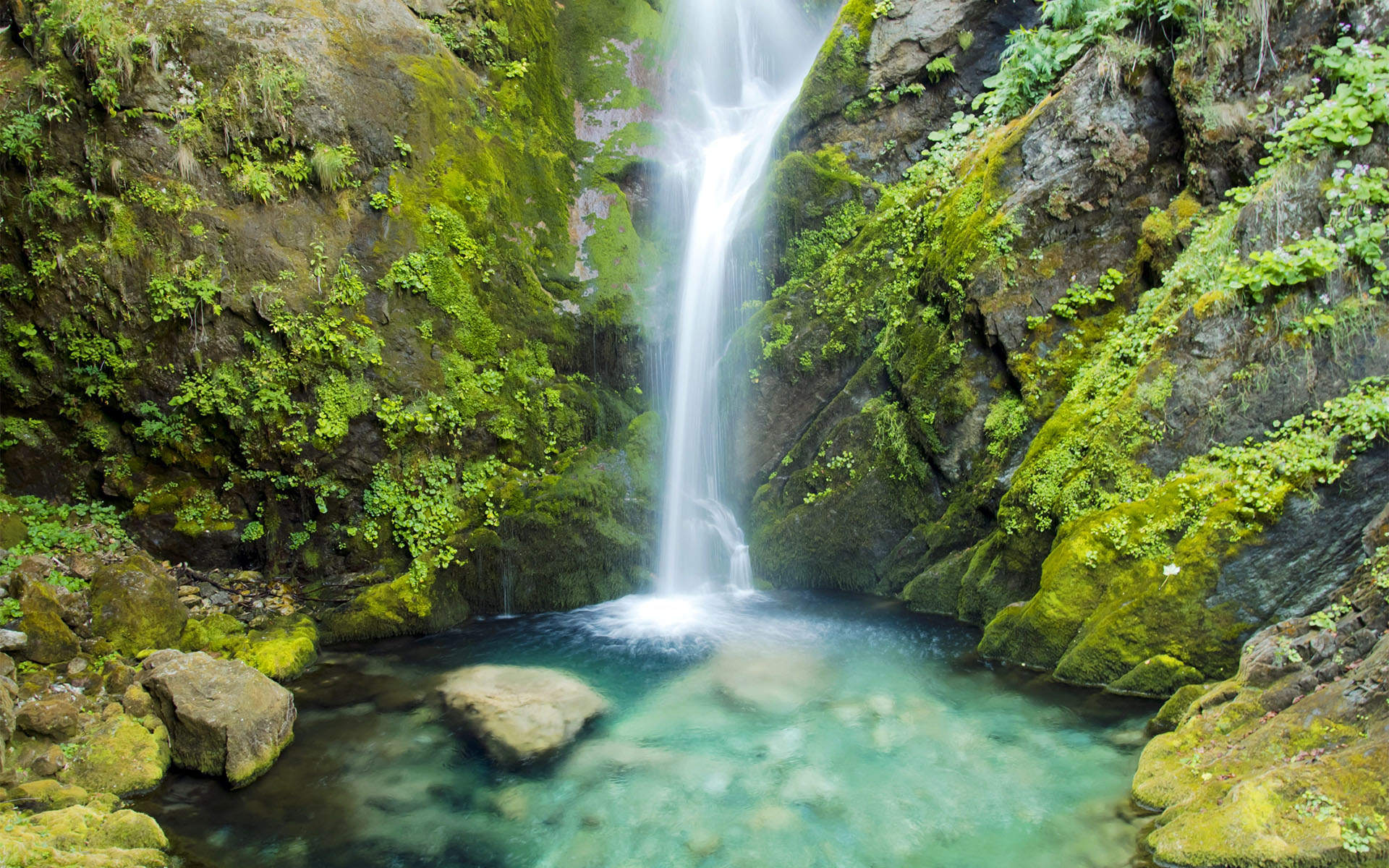 上海秋天风景 秋天落叶唯美风景图片图片