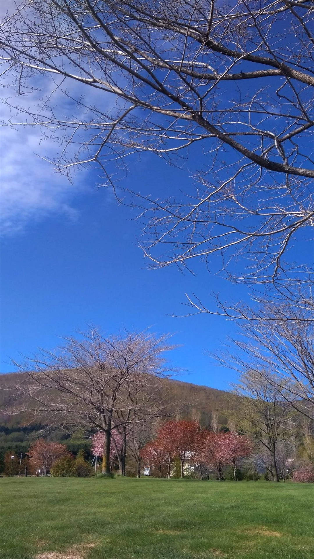 美丽风景摄影高清手机壁纸图片