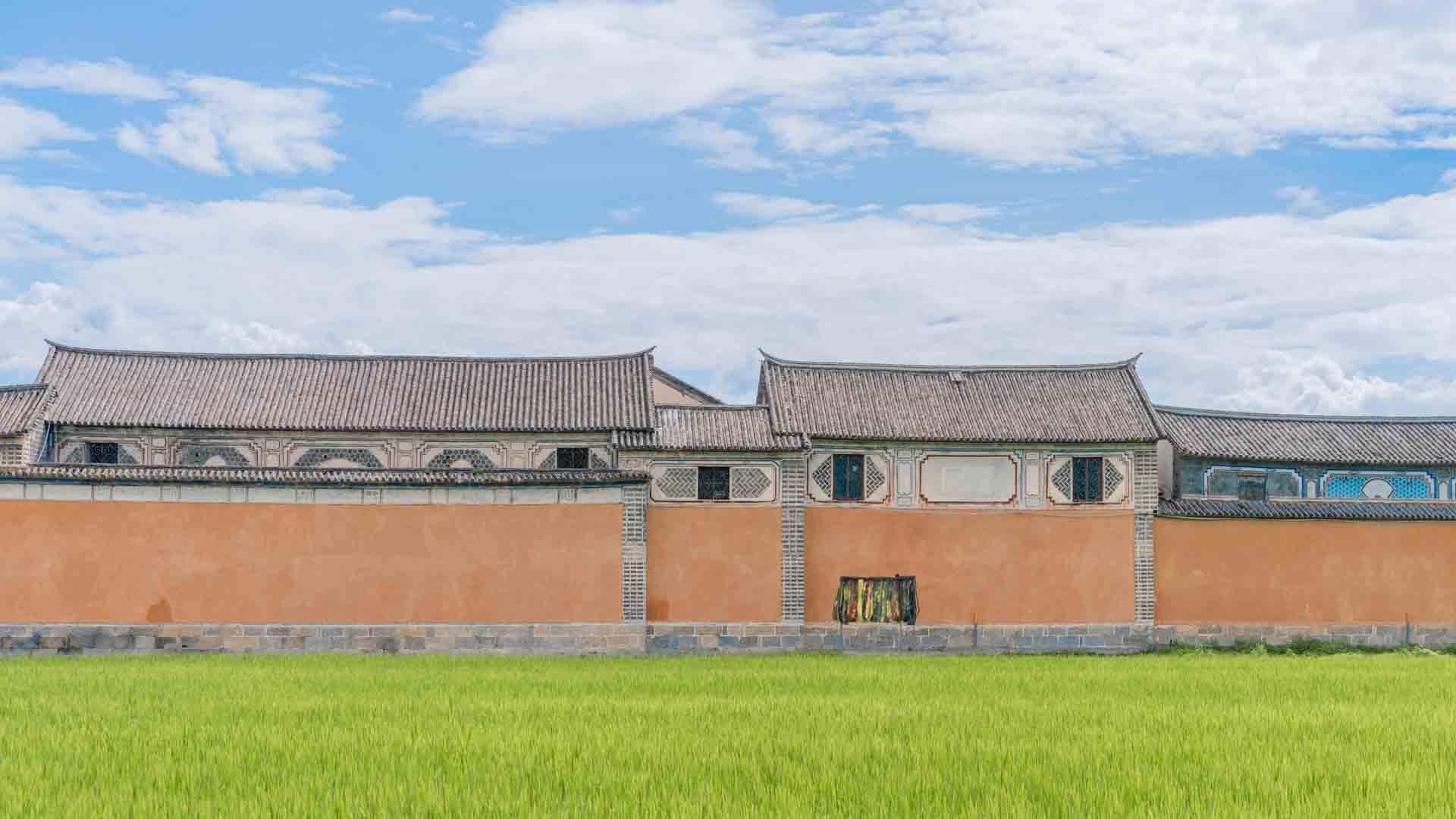 绿色系小清新护眼高清桌面壁纸图片
