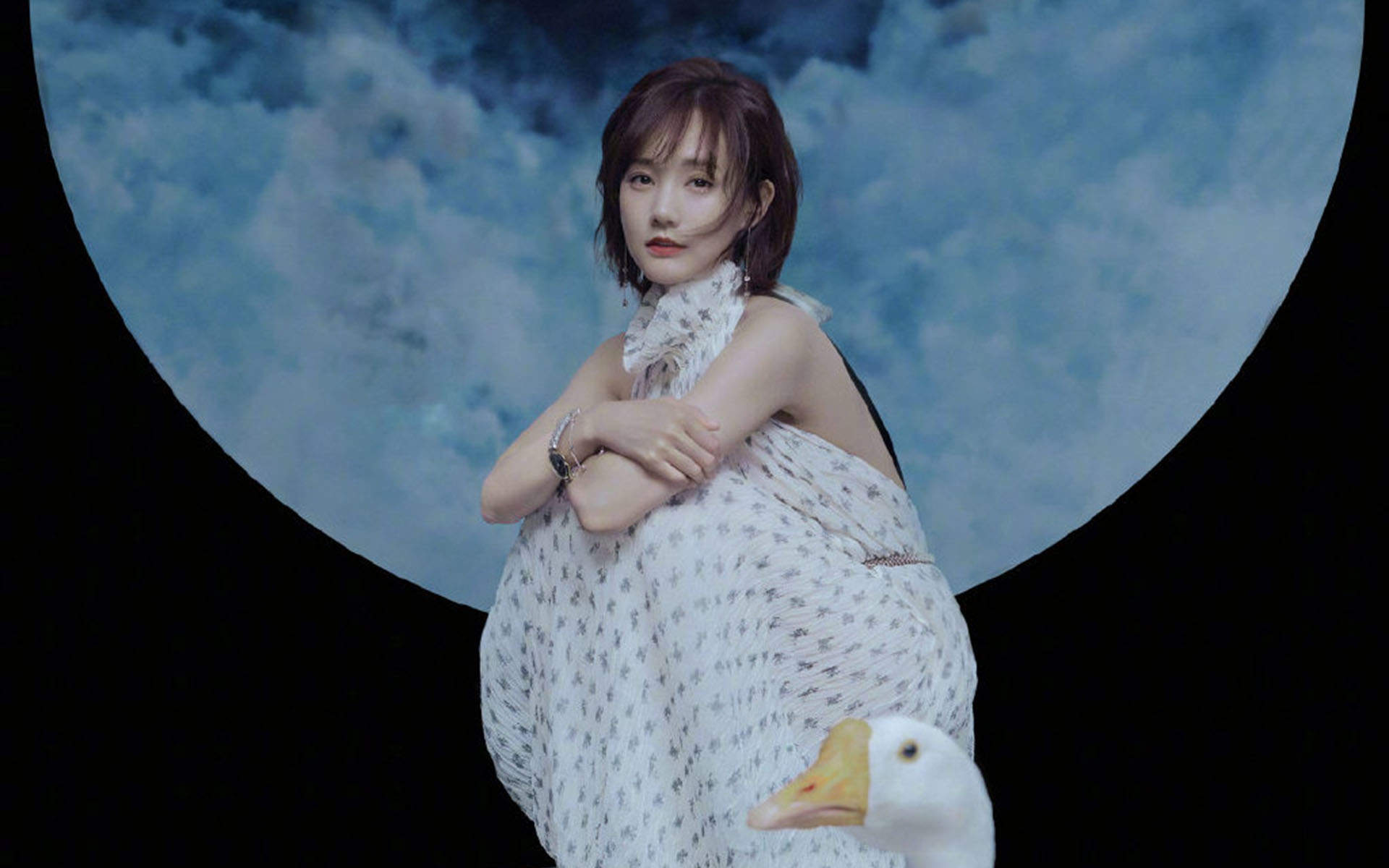 李一桐图片