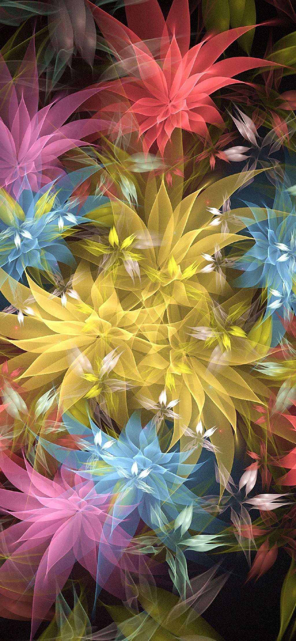 玫瑰花图片