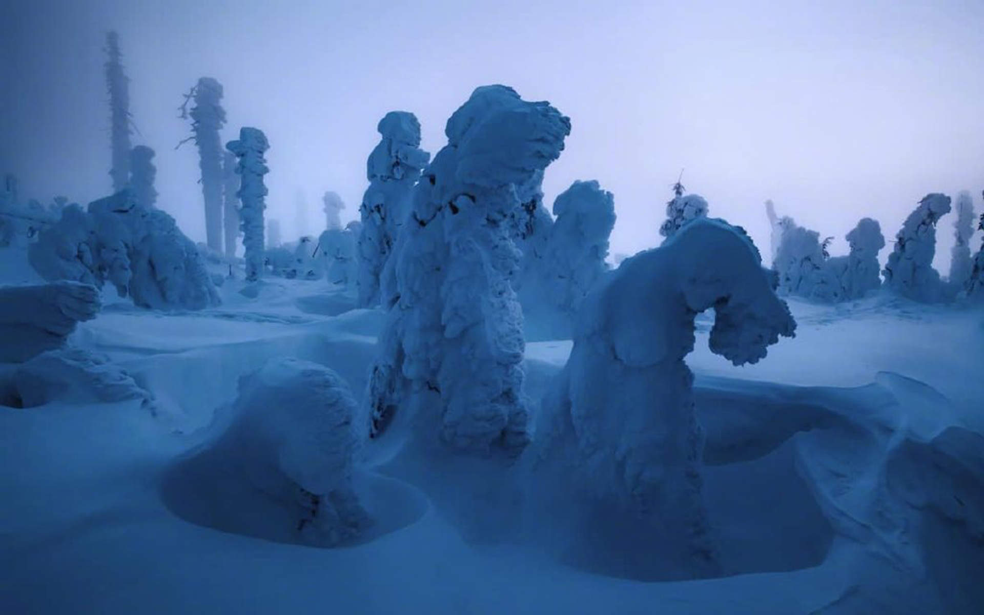 邓伦故宫雪景帅气写真图片图片