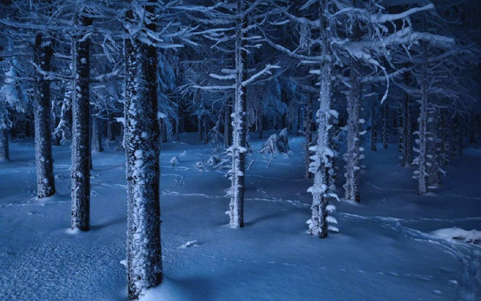 冯若绮清新雪景写真图片图片