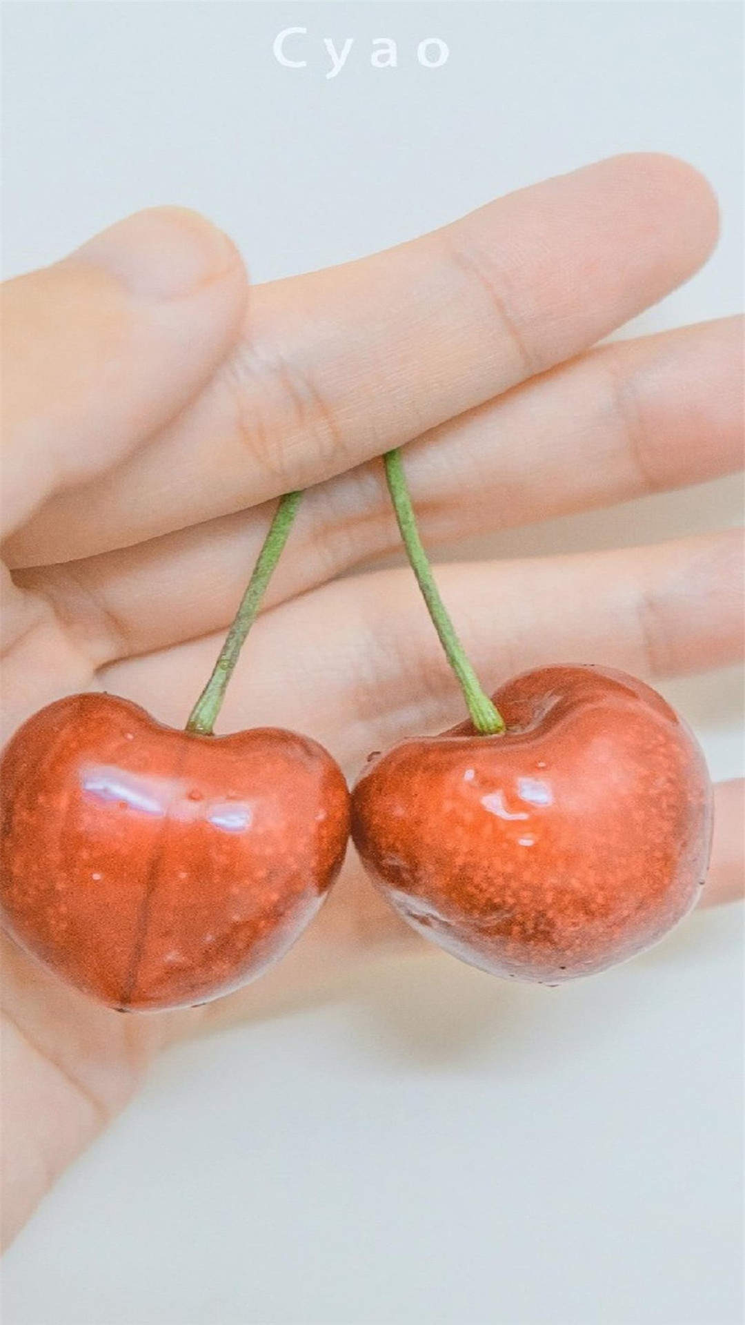 玫瑰花图片
