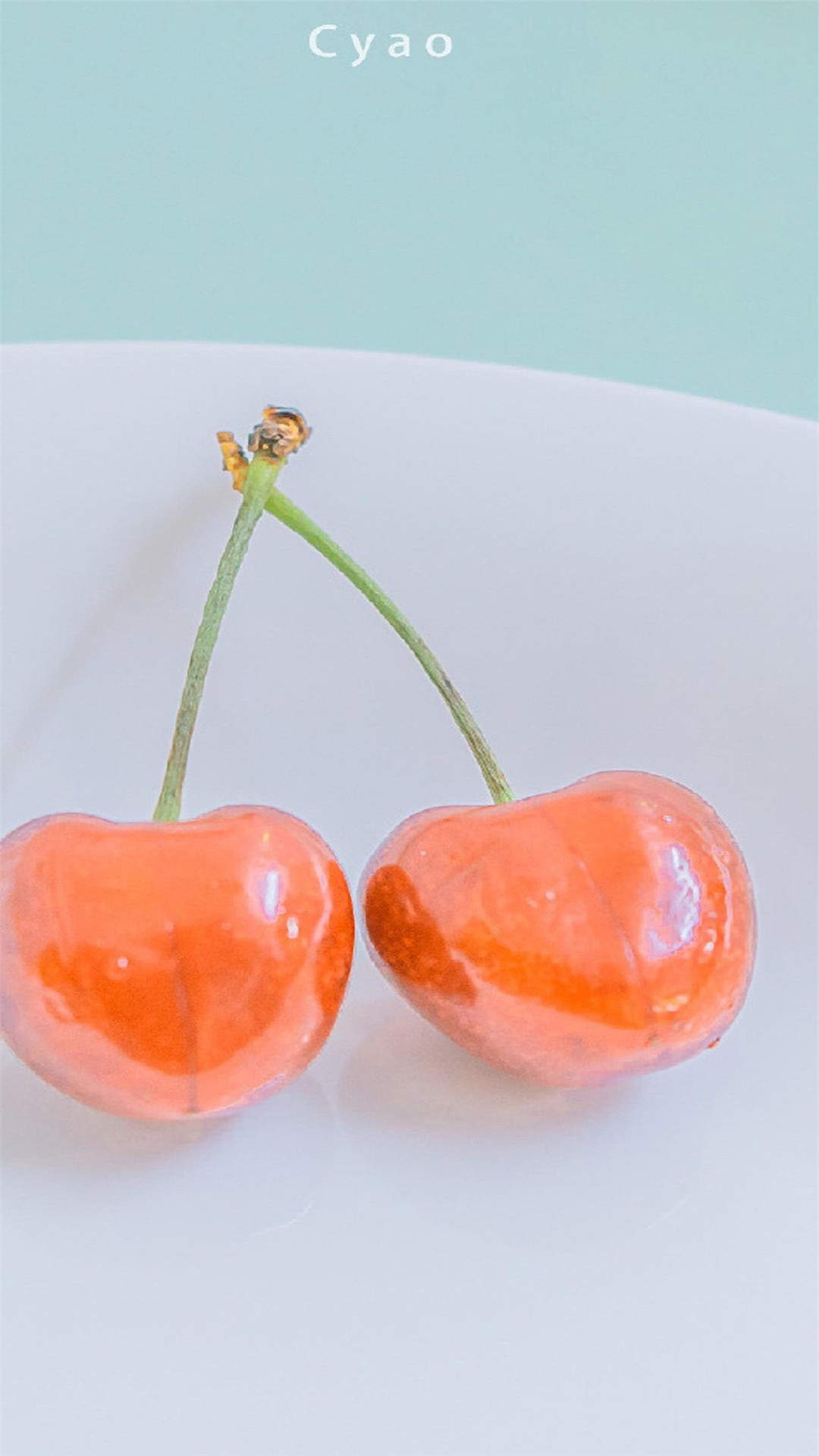 玫瑰花图片