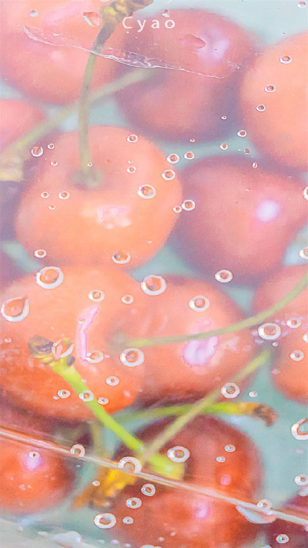 高清鲜花小清新绿色护眼花卉手机壁纸图片