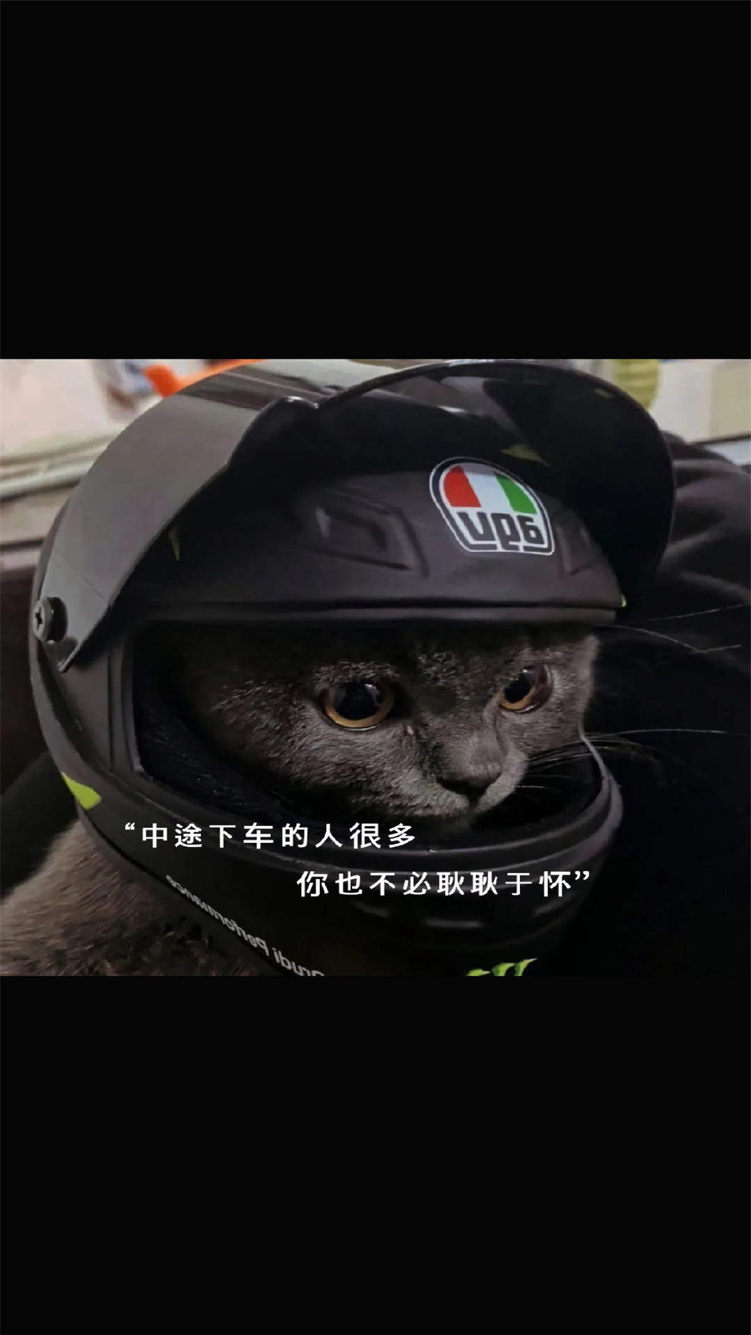 文字控图片