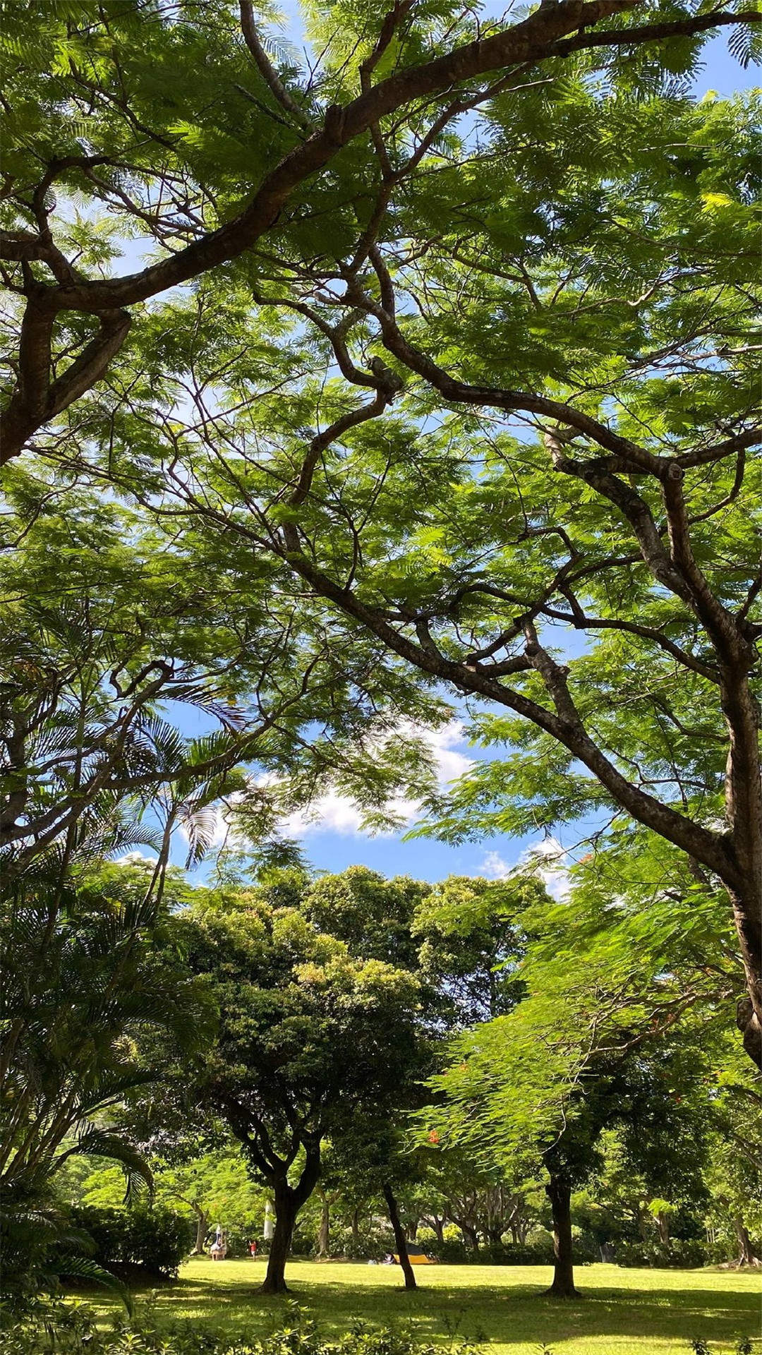 古希腊美丽景色（下）图片