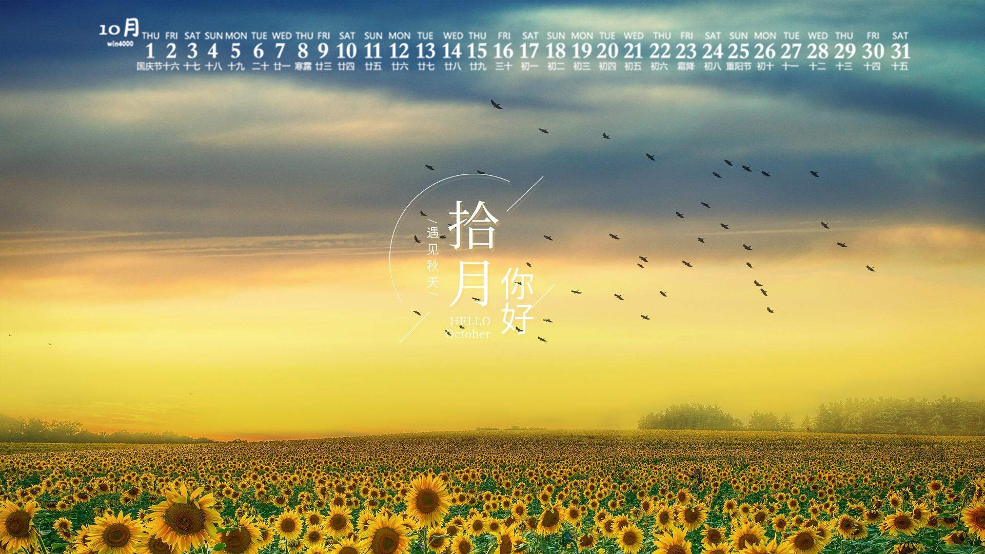 向日葵图片