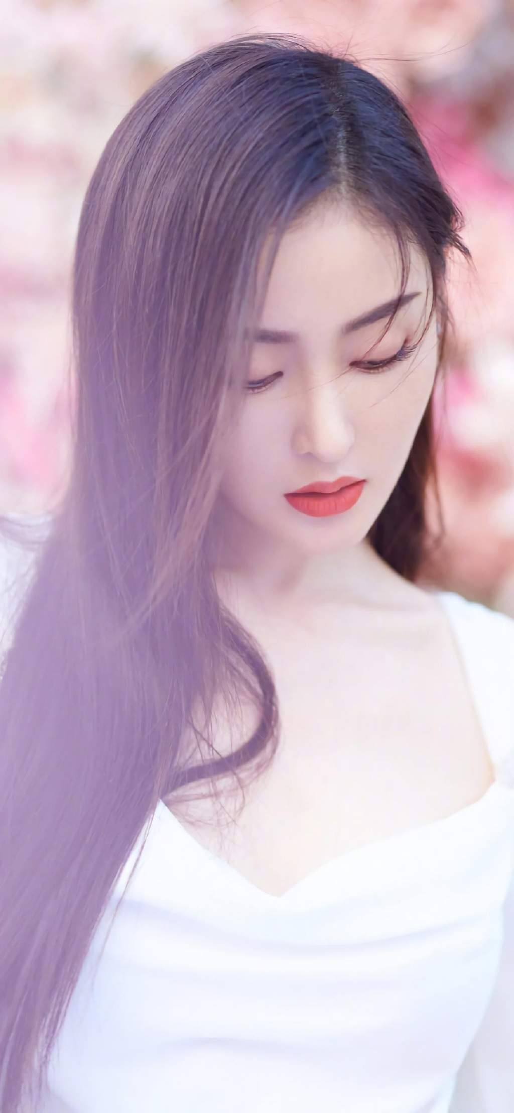 张天爱图片
