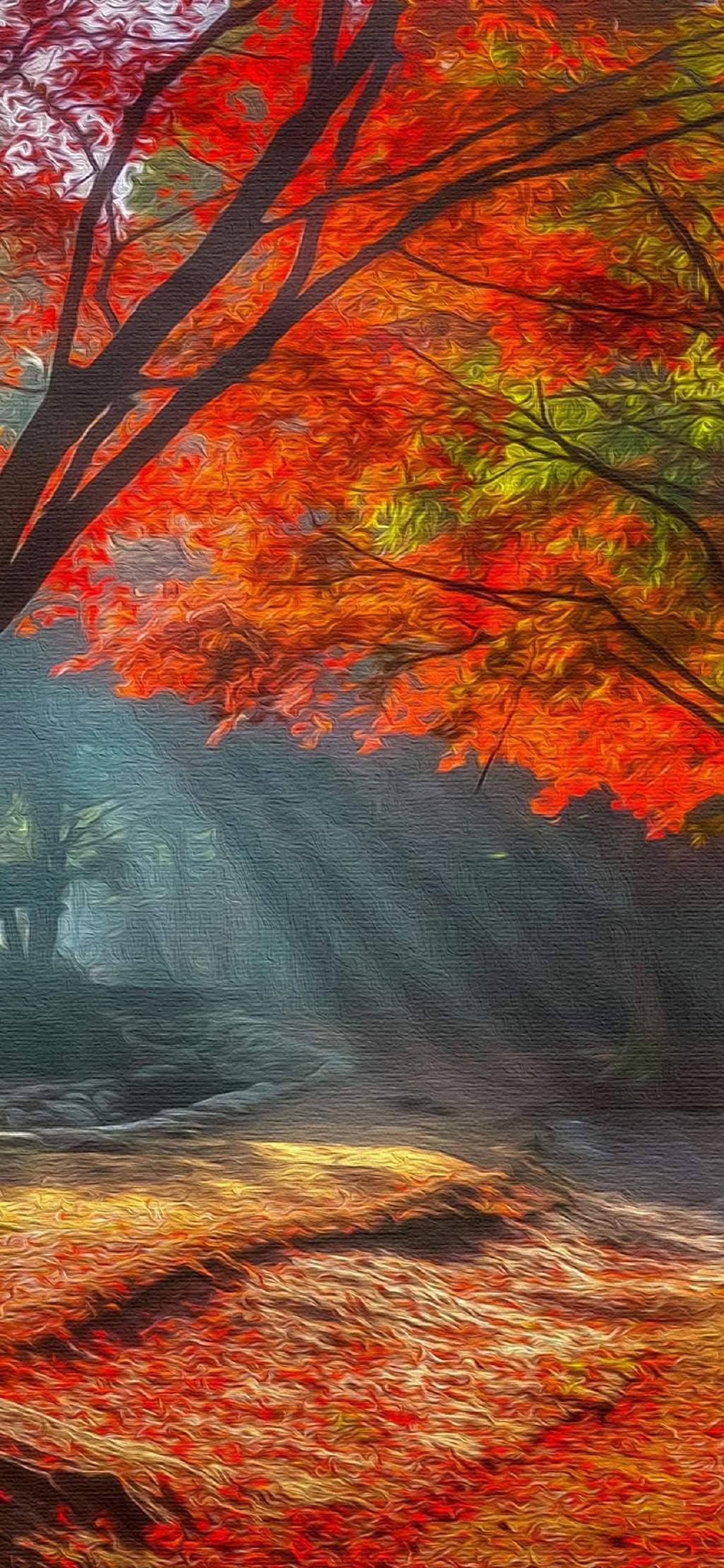 玫瑰花图片