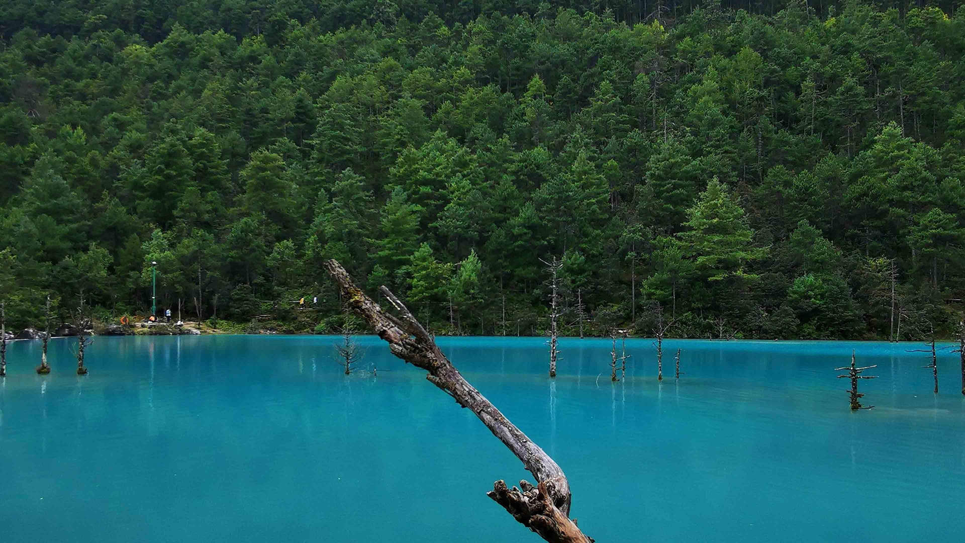 优美风景图片