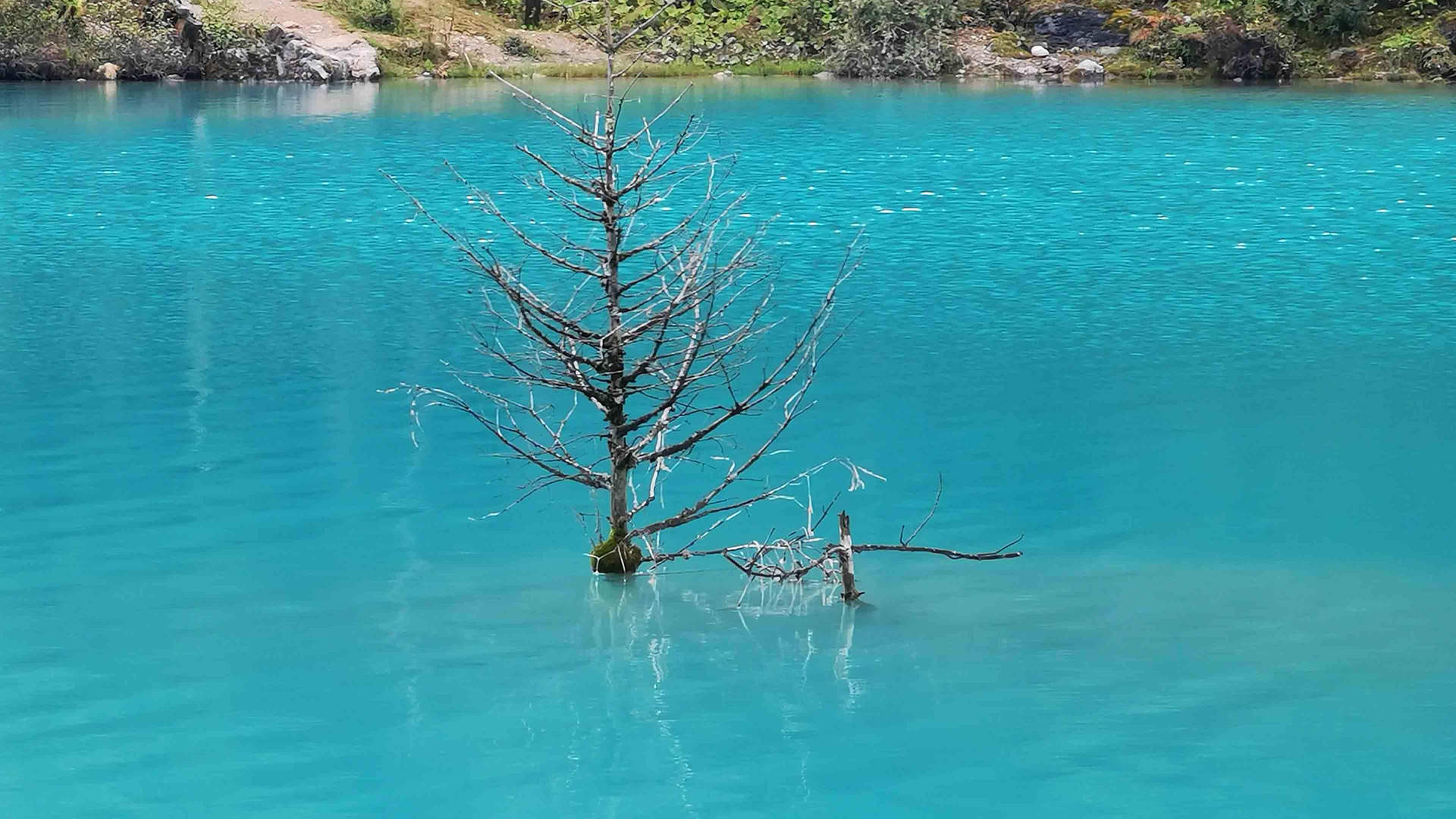 优美风景图片