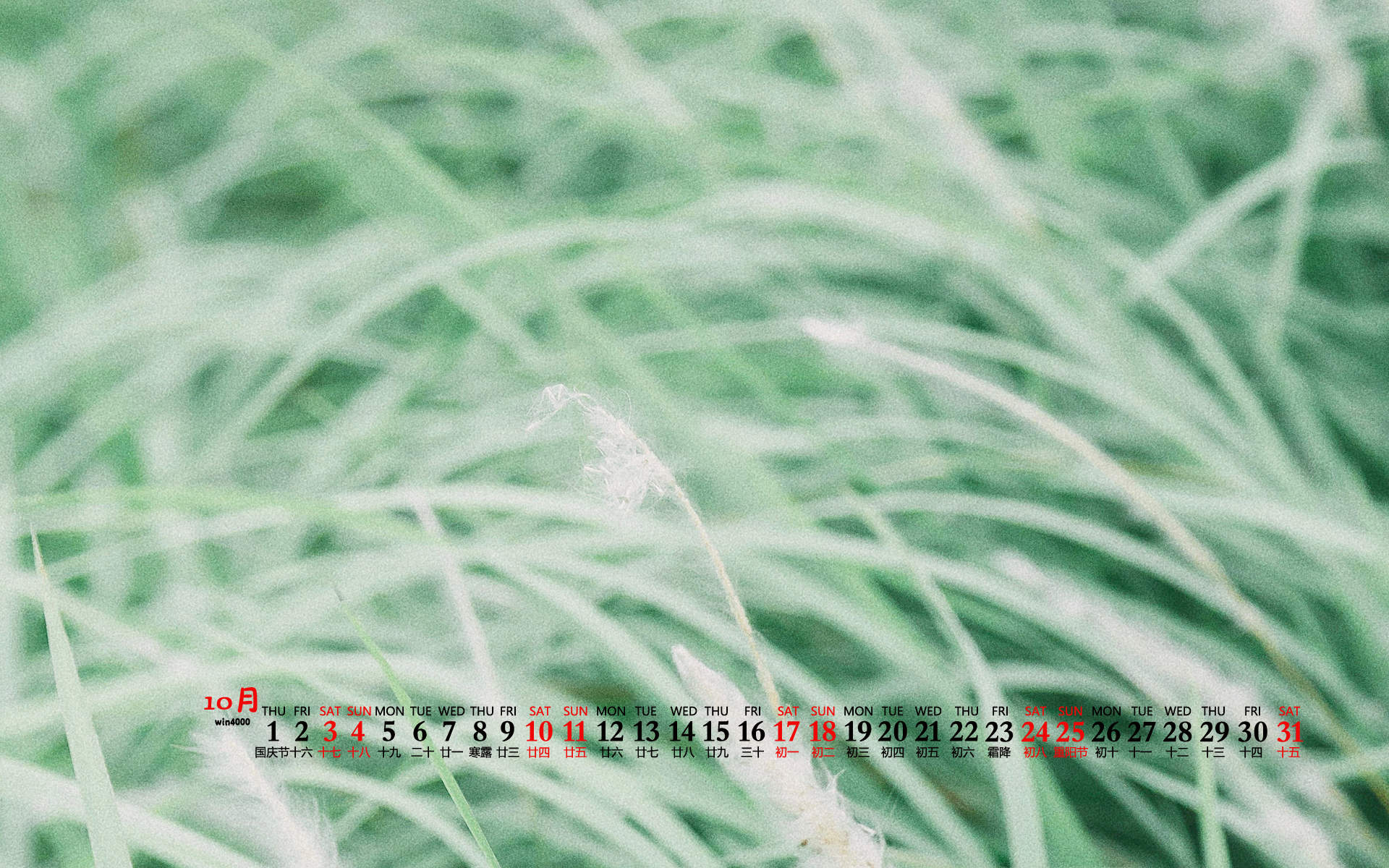 杨祐宁唯美意境写真图片图片