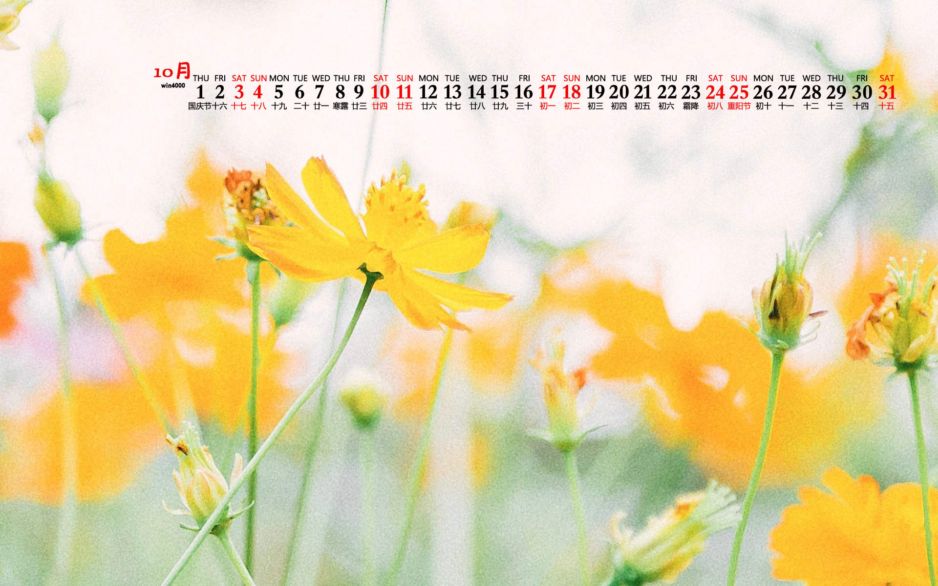 杨祐宁唯美意境写真图片图片
