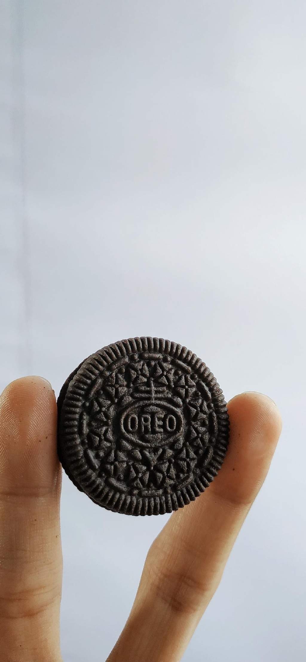 枣泥月饼图片  月饼图片图片