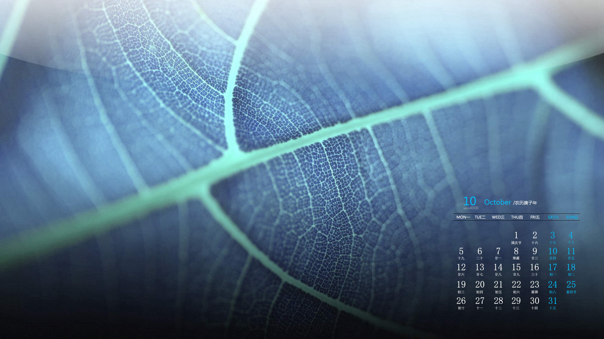 唯美清新绿色植物花卉高清摄影素材图片欣赏图片