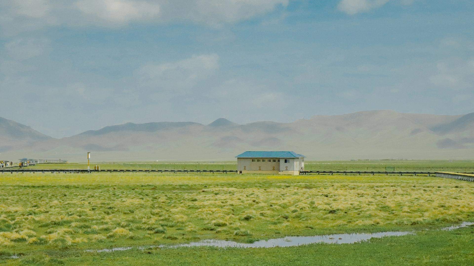 绿色护眼风景摄影高清图片图片