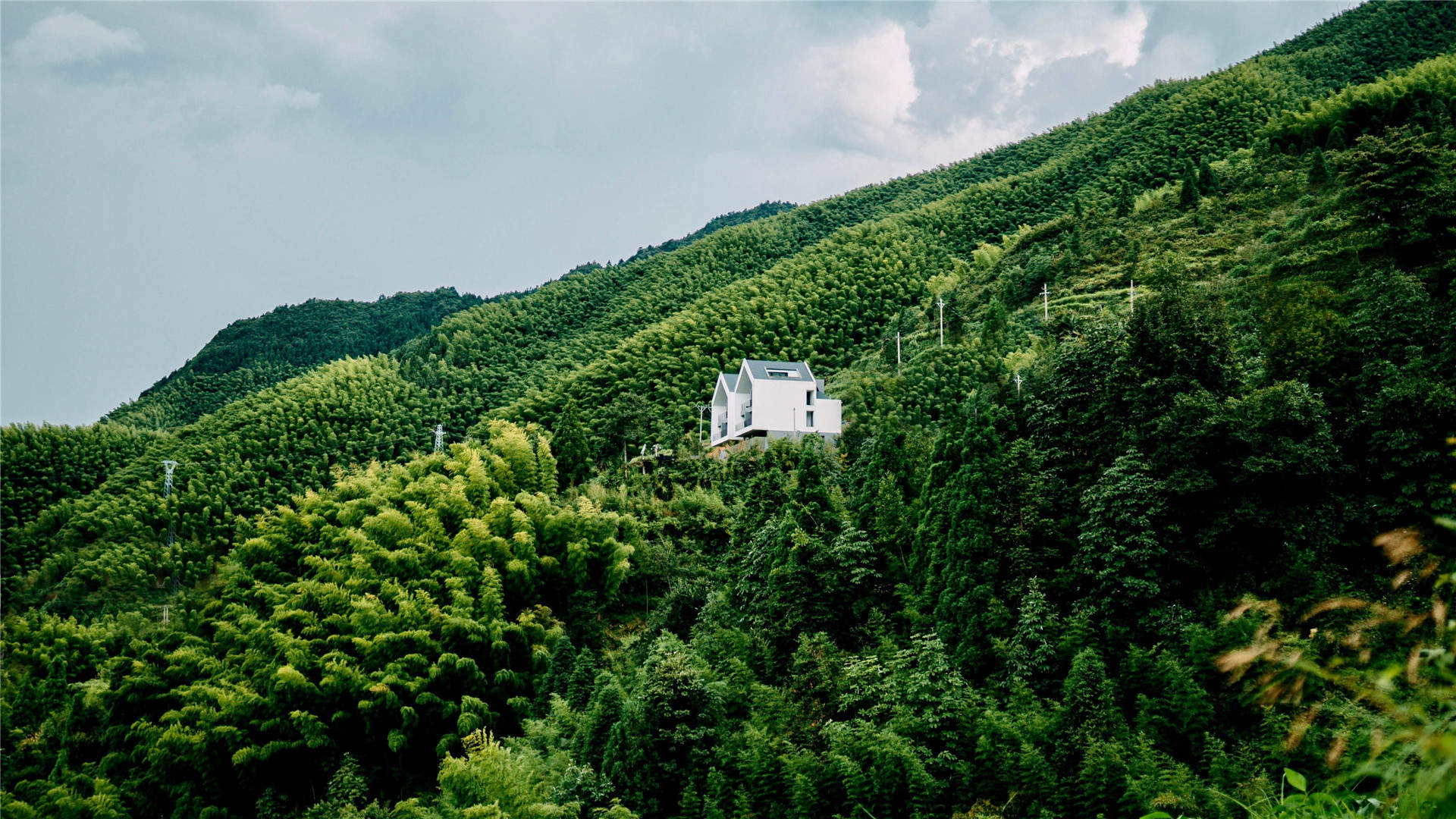 绿色护眼风景摄影高清图片图片