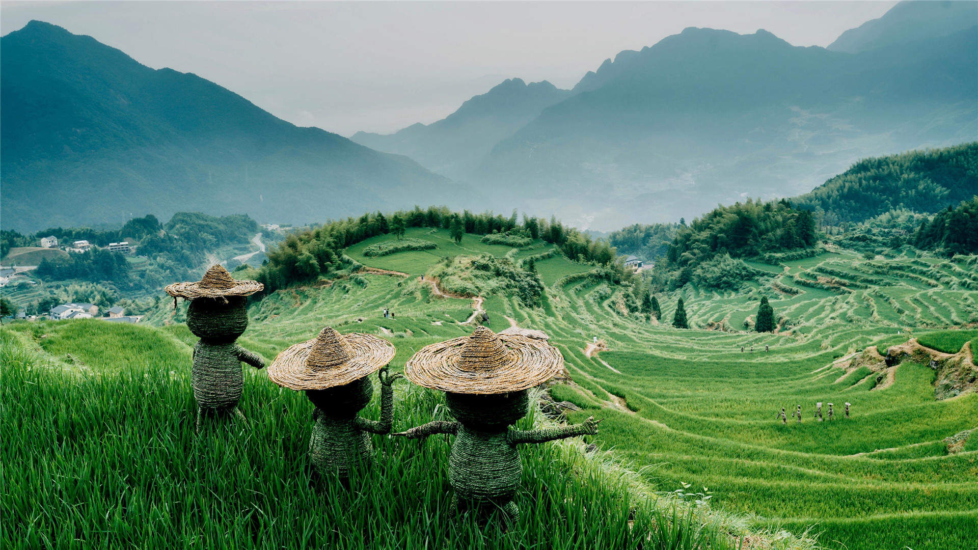 绿色护眼风景摄影高清图片图片
