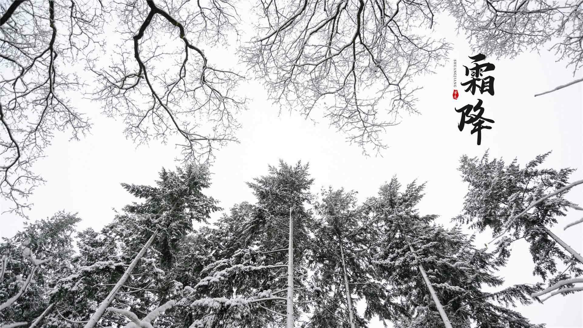 二十四节气霜降唯美雪景桌面壁纸图片