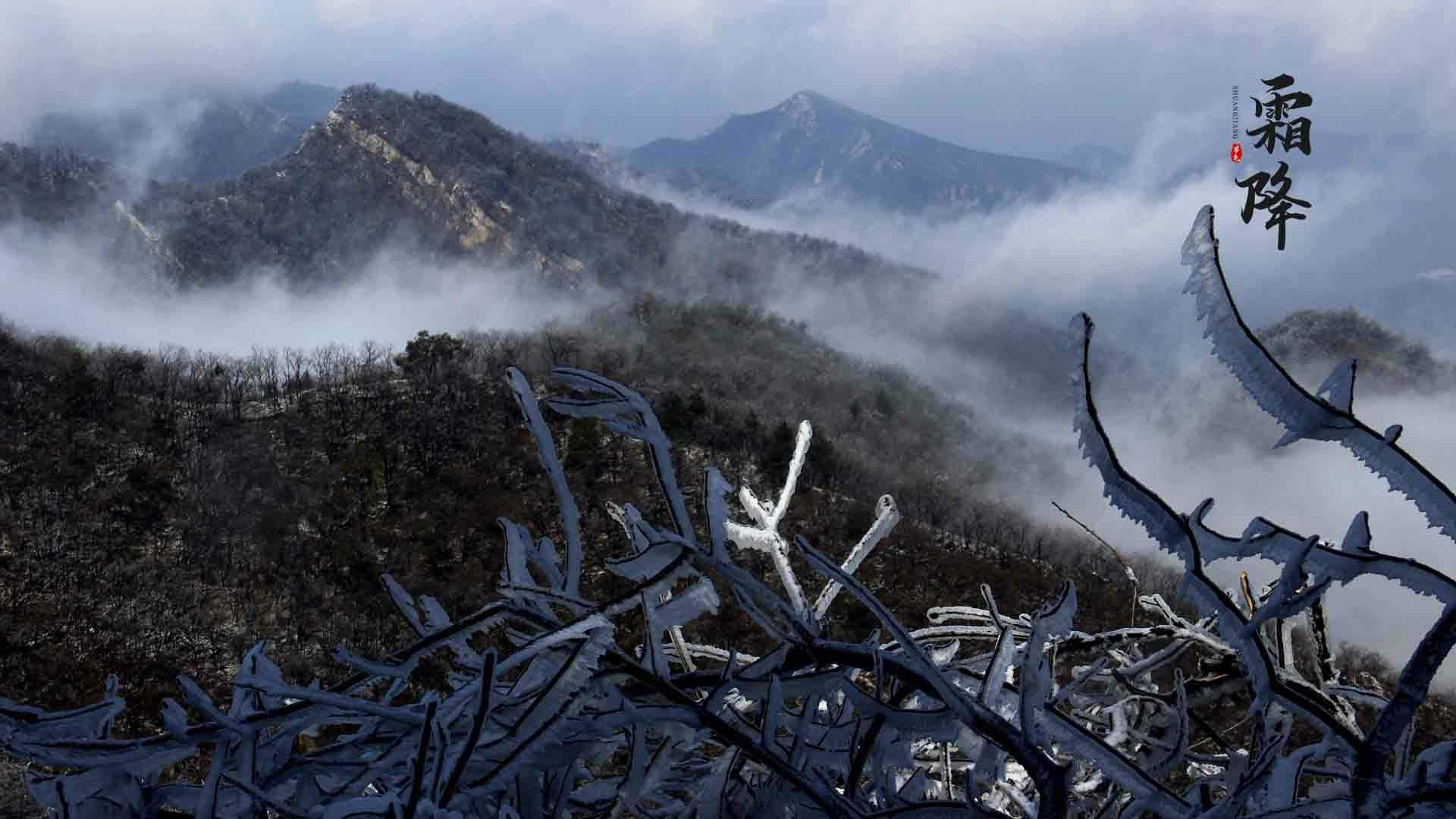 宁心露脐装雪景自拍图片图片