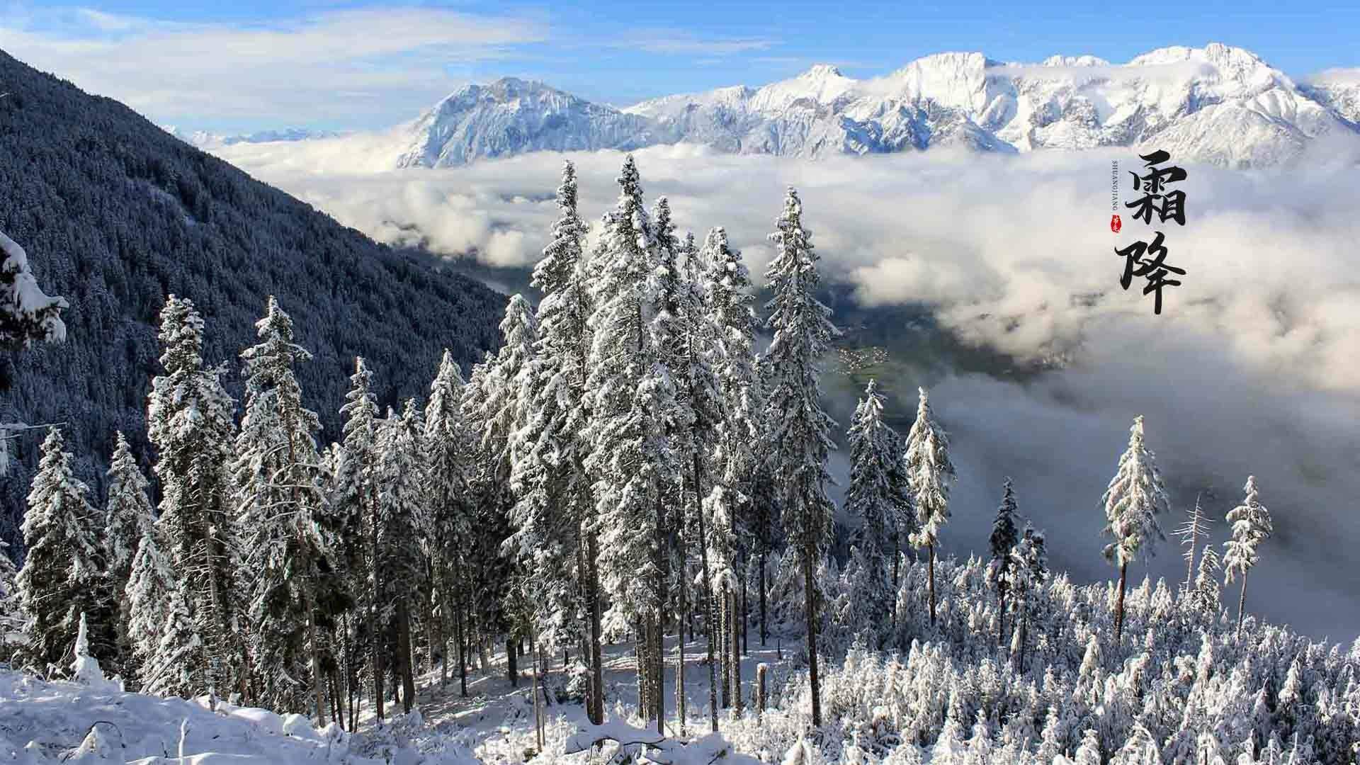 冬日布拉格的雪景唯美摄影图片图片