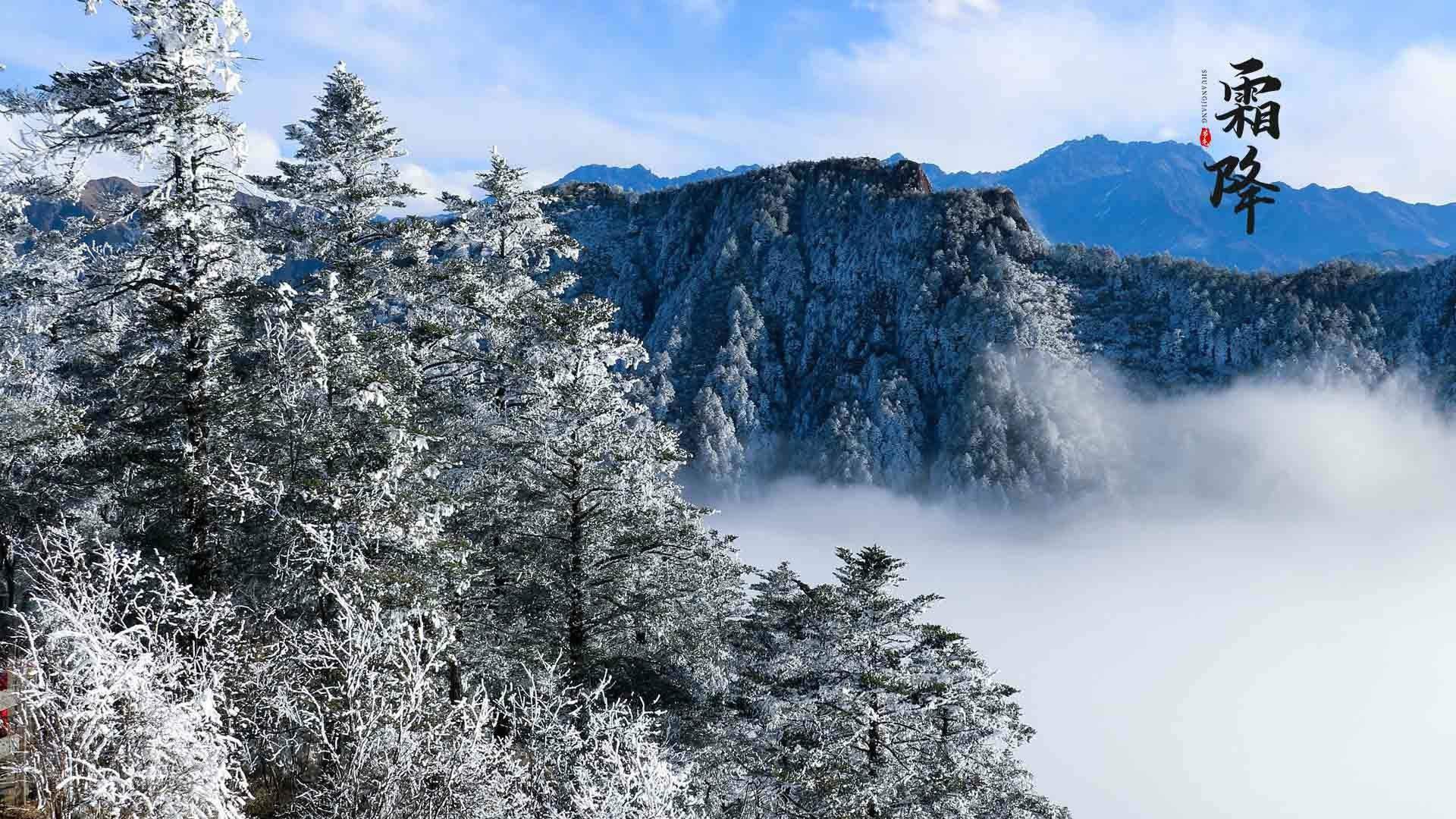 宁心露脐装雪景自拍图片图片