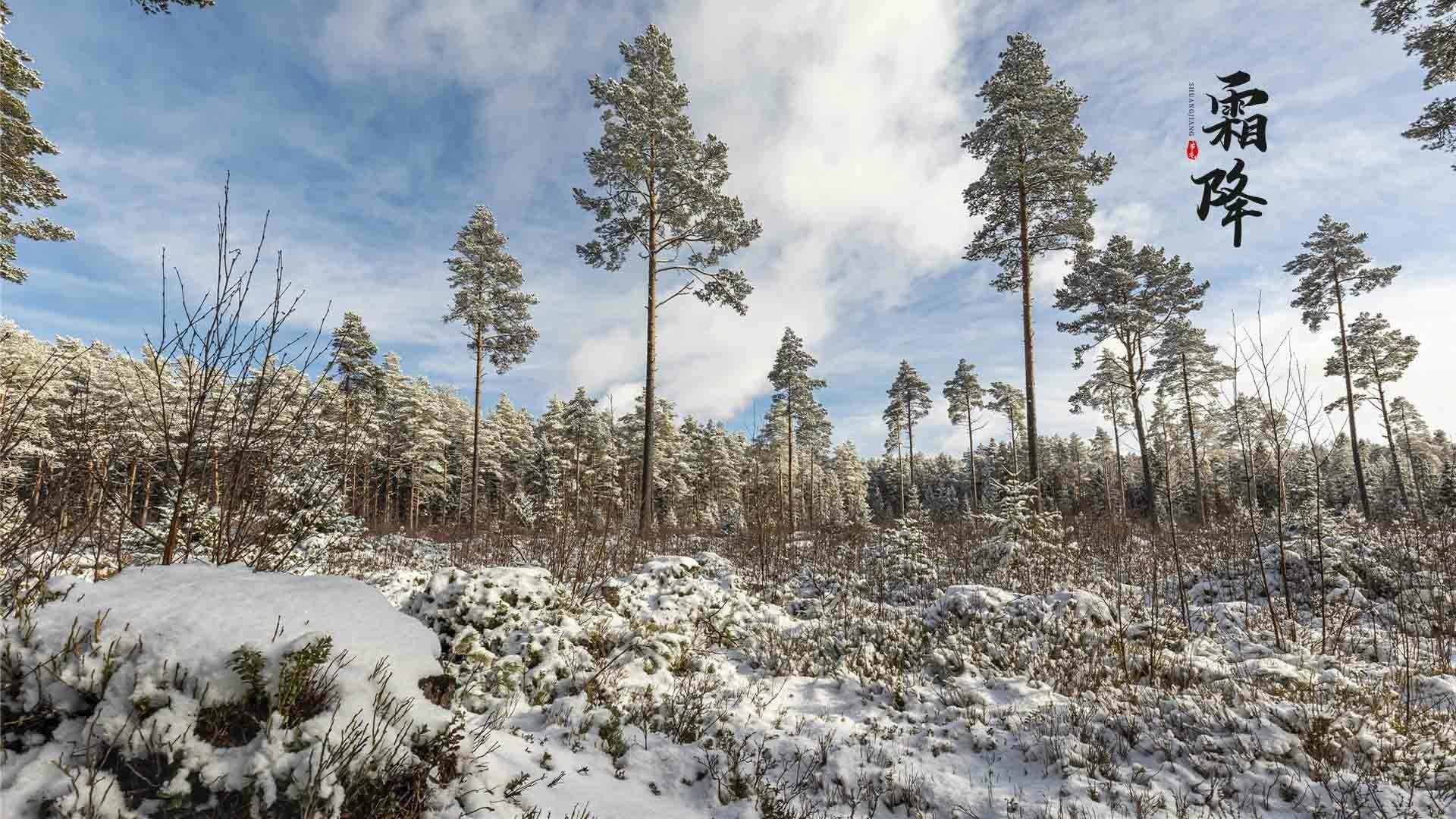 邓伦故宫雪景帅气写真图片图片