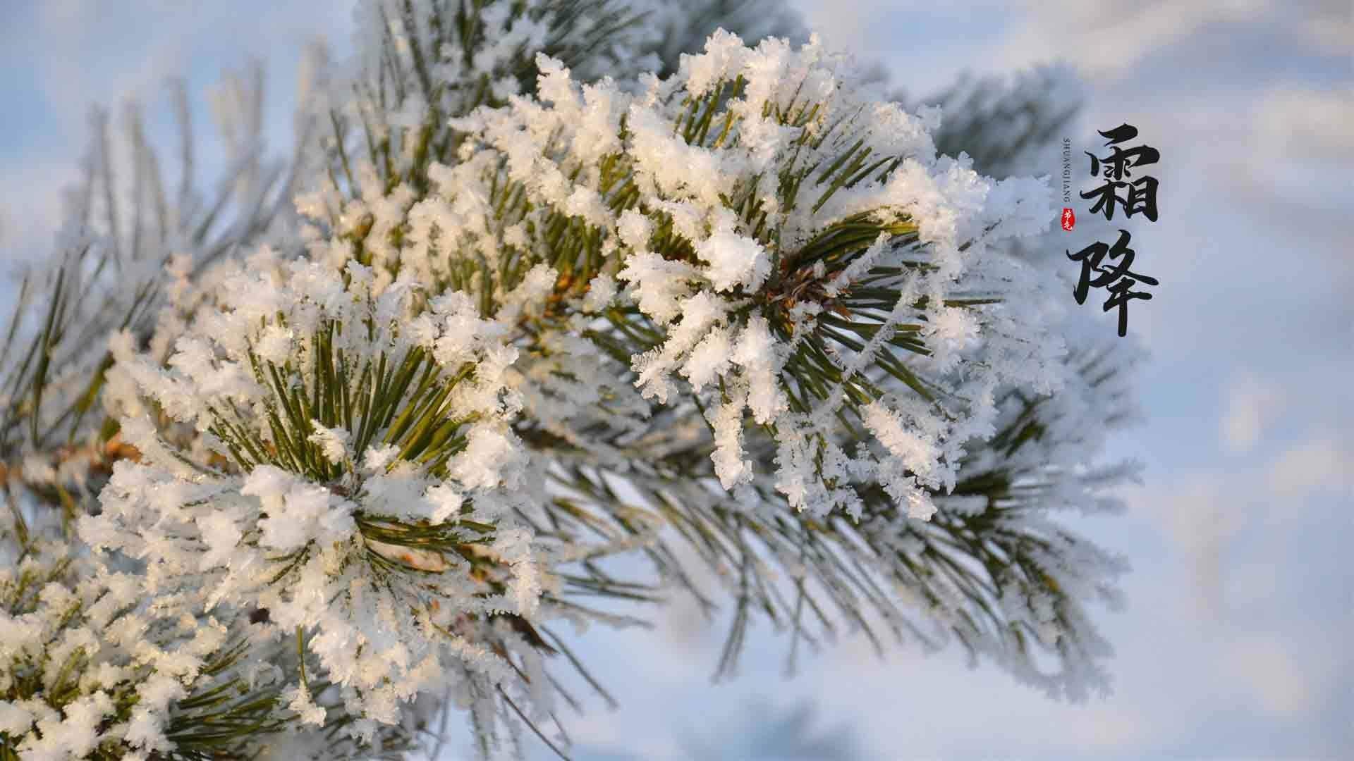 宁心露脐装雪景自拍图片图片