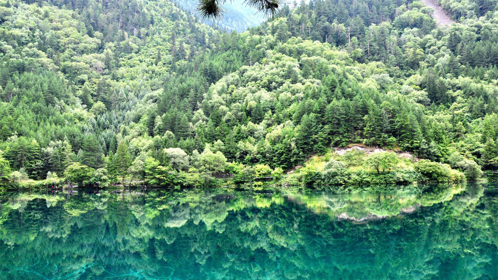 高清美景九寨沟唯美自然风景手机壁纸图片