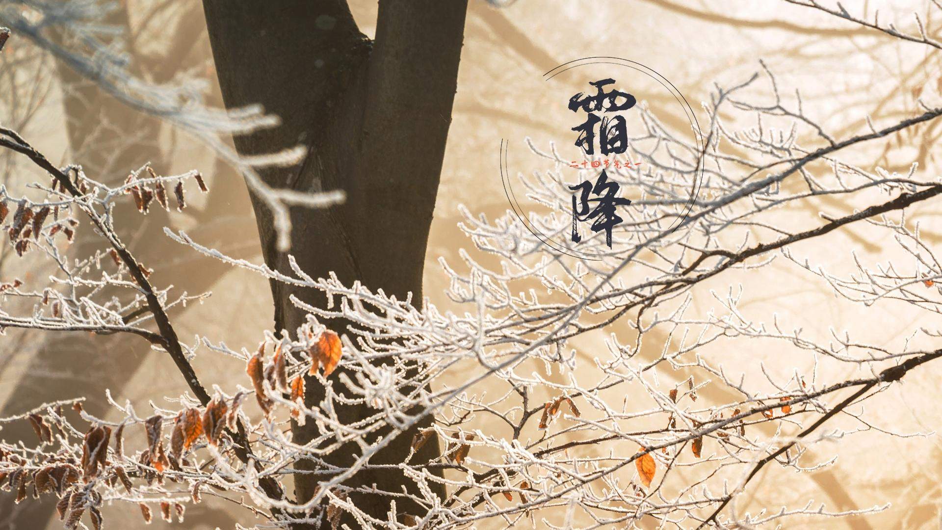美丽风景图图片